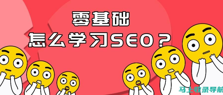 SEO零基础也能学？入门教程带你探索奥秘